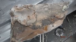 180103 79 Pontiac Trans Am  (10).JPG